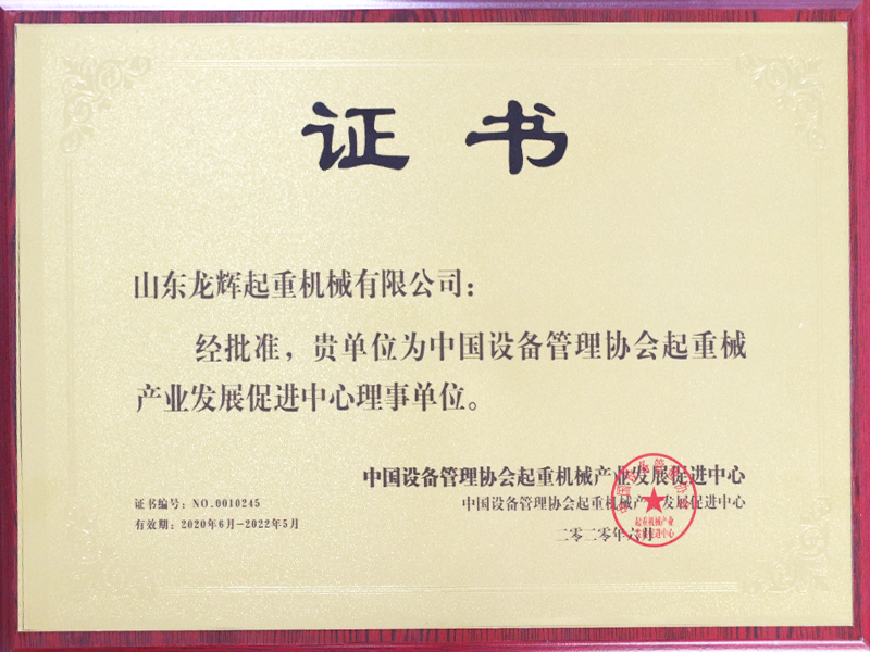 中國(guó)設(shè)備管理協(xié)會(huì)起重械產(chǎn)業(yè)發(fā)